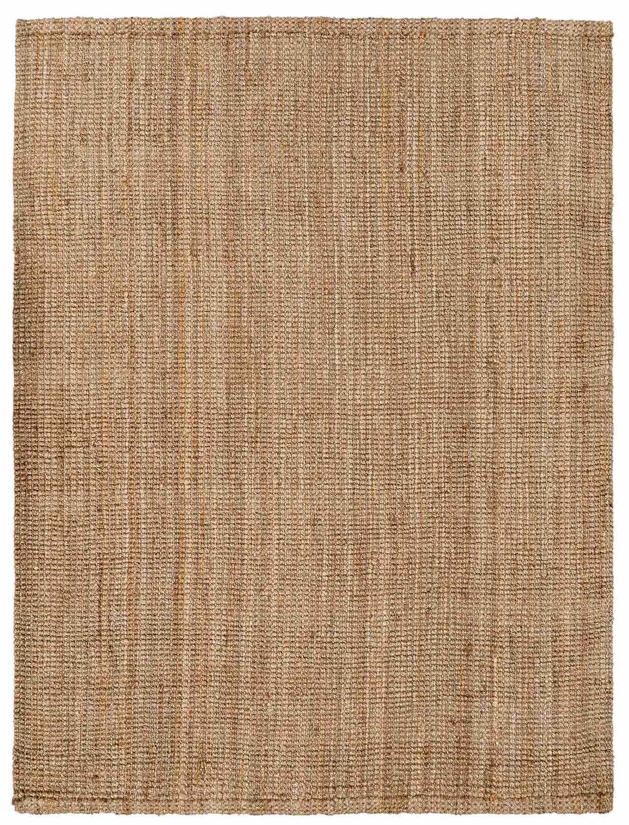 Ambel Chocolate Brown Camel Jute Area Rug