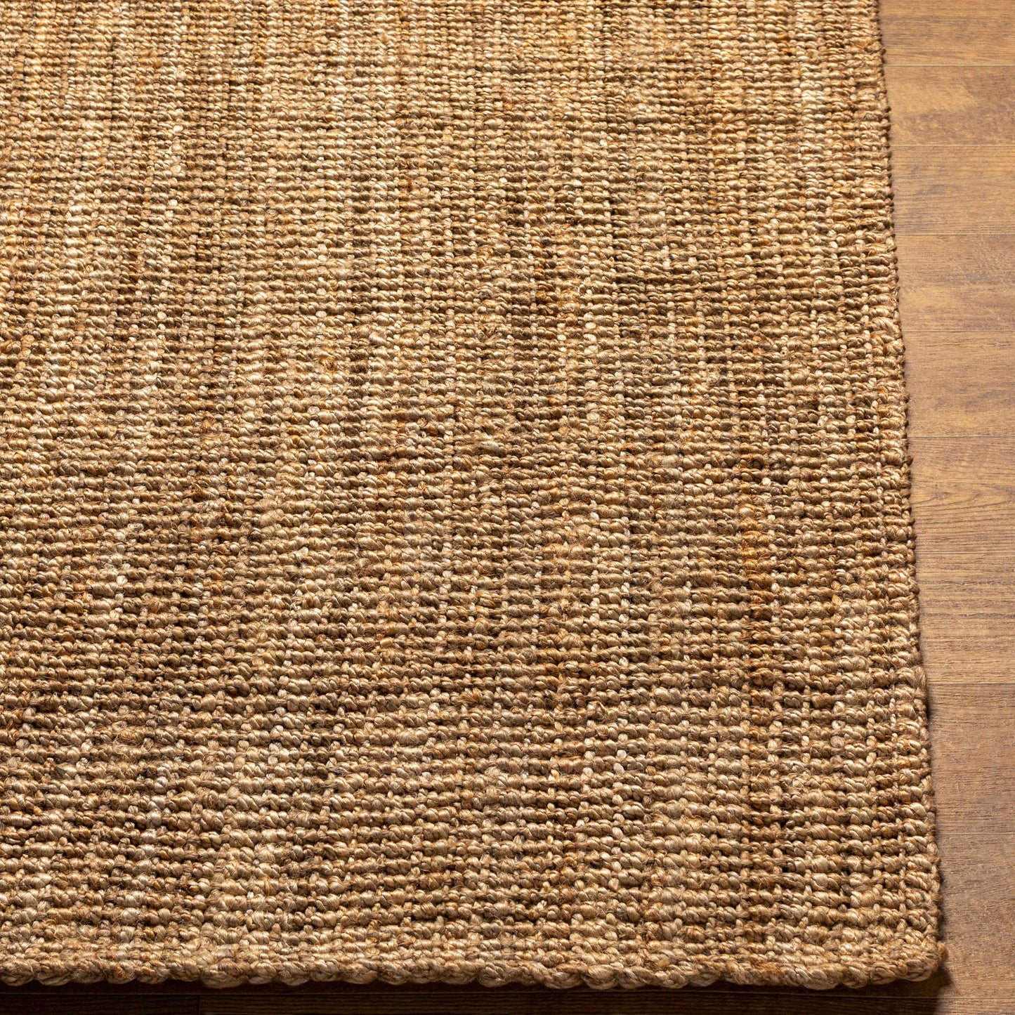 Ambel Chocolate Brown Camel Jute Area Rug