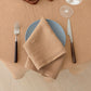 100% French Linen Napkins Set of 4 (20'' x 20'') - Beige