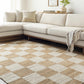 Tyhir Checkered Jute Rug